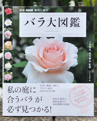 New Roses最新号は お庭でバラをキレイに見せるコツ が特集 はなはなショップブログ