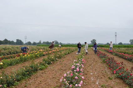 2014DEL_038