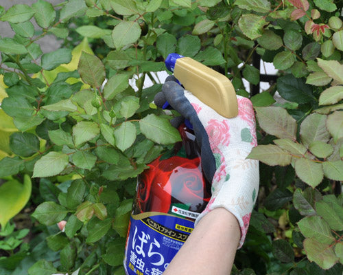 そろそろコガネムシ出没しますよ はなはなショップブログ