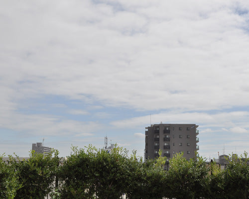 夏の空