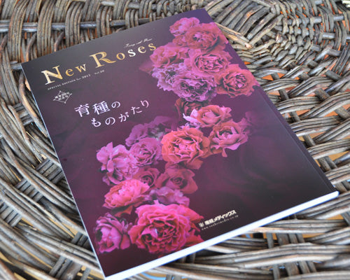 New Roses