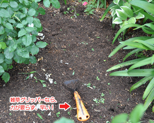 雑草グリッパー