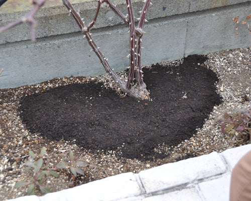 庭植えバラの土壌改良 はなはなショップブログ