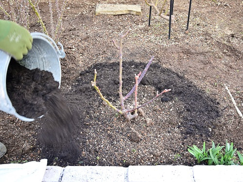 庭植えのバラの土づくり はなはなショップブログ