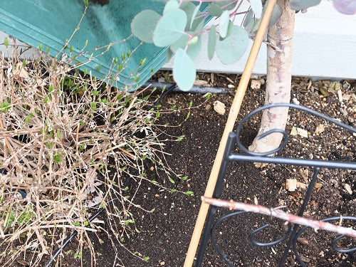 余った古い土の処理 はなはなショップブログ