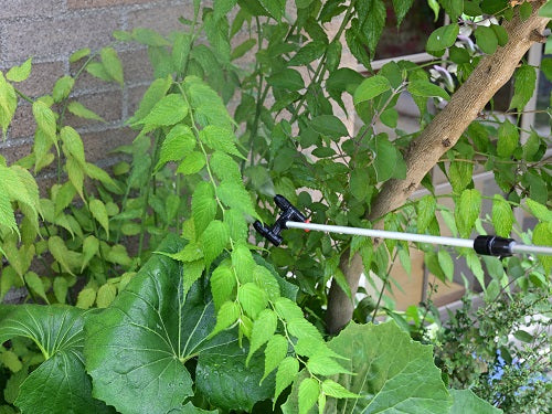 ハダニが発生 はなはなショップブログ ハダニが発生 はなはなショップブログ